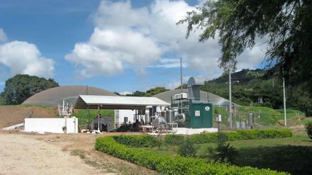 Die Biogasanlage der Schweinefarm Porcina Americana hat den Betrieb gerettet. Er stand wegen der Geruchsemissionen kurz vor der Schließung. 
