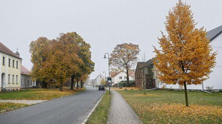 Blick nach Kaltenborn (Gemeinde Niedergörsdorf/Brandenburg).