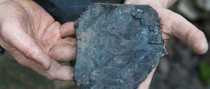 Zeitzeugen der Erdgeschichte. Mithilfe von Fossilien rekonstruieren Paläontologen die Entwicklung des Lebens auf der Erde. Das geplante Kulturgutschutzgesetz bedroht die Disziplin. 
