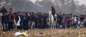 Flüchtlinge gehen am 27.10.2015 auf einer Straße in Rigonice, Slowenien. Die Asylsuchenden werden von der Polizei zu Bussen geführt. Die Busse sollen die Flüchtlinge in eine Notunterkunft und zur Registrierung bringen, danach werden sie mit Zügen weiter nach Österreich gebracht. 
