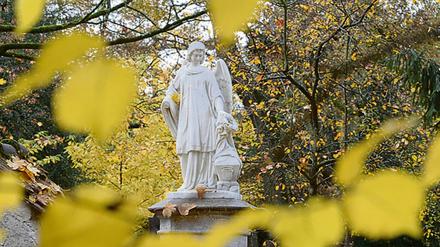 Jahrelang war in Deutschland heftig über die Sterbehilfe gestritten worden. Jetzt gibt es ein Gesetz.
