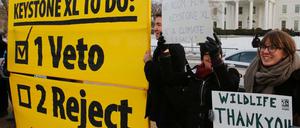 Umweltschützer hatten gegen die Pipeline schon seit langem protestiert.