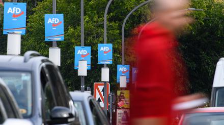 27.09.2021, Sachsen, Dresden: Wahlplakate der AfD hängen am Terrassenufer an Lampenmasten. Die AfD ist nach der Bundestagswahl in Sachsen stärkste Kraft. Foto: Robert Michael/dpa-Zentralbild/dpa +++ dpa-Bildfunk +++