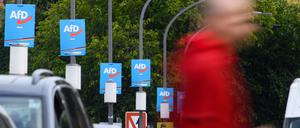 27.09.2021, Sachsen, Dresden: Wahlplakate der AfD hängen am Terrassenufer an Lampenmasten. Die AfD ist nach der Bundestagswahl in Sachsen stärkste Kraft. Foto: Robert Michael/dpa-Zentralbild/dpa +++ dpa-Bildfunk +++
