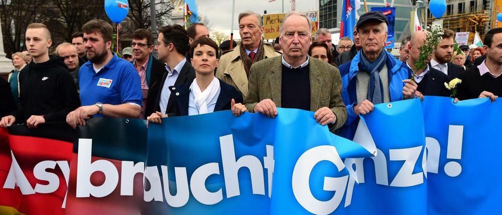 Alexander Gauland neben Frauke Petry auf der AfD-Demonstration am 7. November 2015 in Berlin.