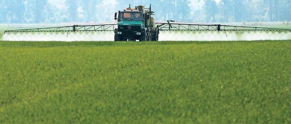 Umstritten. Glyphosat ist das am meisten verwendete Herbizid. Das Foto zeigt, wie Pflanzenschutzmittel durch einen LKW großflächig auf ein begrüntes Feld gesprüht wird.