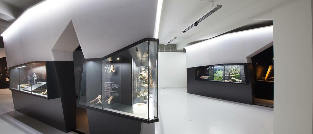 Die Sonderausstellung "SALZ BERG WERK. Schatzkammer der Alpen" im Staatlichen Museum für Archäologie Chmenitz. Die Sonderausstellung, die noch bis zum 3. Januar 2016 zu sehen ist, besteht aus fünf begehbaren Installationen, die an Salzkristalle erinnern.