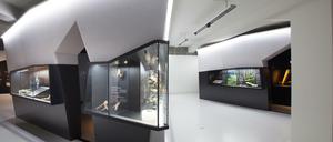Die Sonderausstellung "SALZ BERG WERK. Schatzkammer der Alpen" im Staatlichen Museum für Archäologie Chmenitz. Die Sonderausstellung, die noch bis zum 3. Januar 2016 zu sehen ist, besteht aus fünf begehbaren Installationen, die an Salzkristalle erinnern.