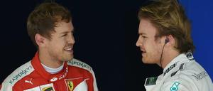 Beim Grand Prix von Brasilien startet Sebastian Vettel (l.) von der dritten Position aus. Trainingsschnellster war am Samstag Nico Rosberg (r.)