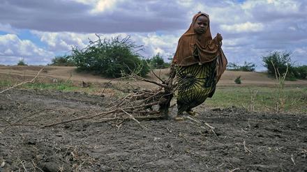 Schwierige Lebensumstände - hier ein kleines Mädchen in Somalia - zwingen viele Menschen aus Afrika in die Flucht.