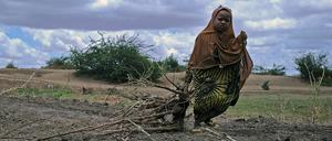 Schwierige Lebensumstände - hier ein kleines Mädchen in Somalia - zwingen viele Menschen aus Afrika in die Flucht.