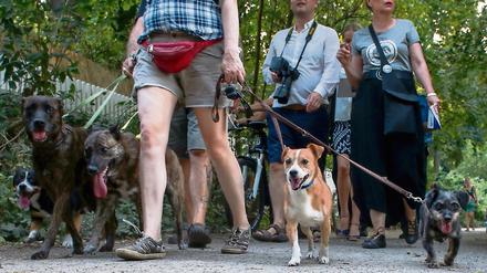 Jetzt auch am Pariser Platz. Bisher demonstrierten Frauchen und Herrchen nur am Schlachtensee gegen das Hundeverbot an diesem Gewässer. Am Sonntag aber ziehen sie vors Brandenburger Tor.