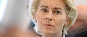 Plagiatsjäger haben ihre Doktorarbeit im Visier: Verteidigungsministerin Ursula von der Leyen (CDU)