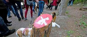 Verbot. Und was der Hund dazu, nun ja, sagt...