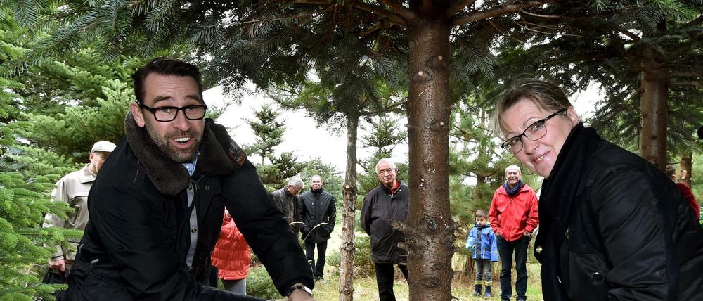 Hertha-Manager Michael Preetz fällte mit Bürgermeisterin Manuel Saß auf dem Werderaner Tannenhof einen Weihnachtsbaum. Zum Start der Tannenbaumsaison wurde ein Baum für das SOS Kinderdorf Brandenburg gefällt. 