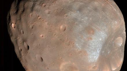Begleiter des Mars. Phobos, der größere der beiden Marsmonde, hat einen Durchmesser von weniger als 30 Kilometern. 