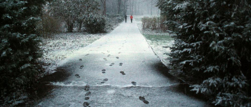 Der erste Schnee dieses Winters im Schlosspark Schönhausen am 22.11.2015 in Berlin.
