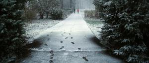 Der erste Schnee dieses Winters im Schlosspark Schönhausen am 22.11.2015 in Berlin.