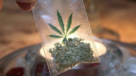 Bei einer Wohnungsdurchsuchung fand die Polizei 163 Plastiktütchen mit Marihuana. 