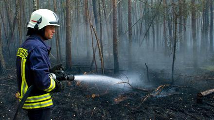 Bekämpfung eines Waldbrandes auf einem ehemaligen Truppenübungsplatz in Brandenburg. 