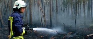 Bekämpfung eines Waldbrandes auf einem ehemaligen Truppenübungsplatz in Brandenburg. 