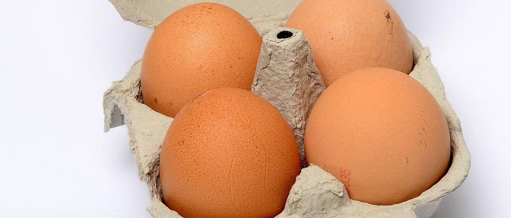 Eiweiß. Millionen Eier werden täglich produziert, die Haltung der Hühner ist oft problematisch. Eine Firma aus Kalifornien will nun Eiweiß ganz ohne Hühner herstellen.