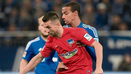 Vedad Ibisevic steht Hertha BSC wieder zur Verfügung.