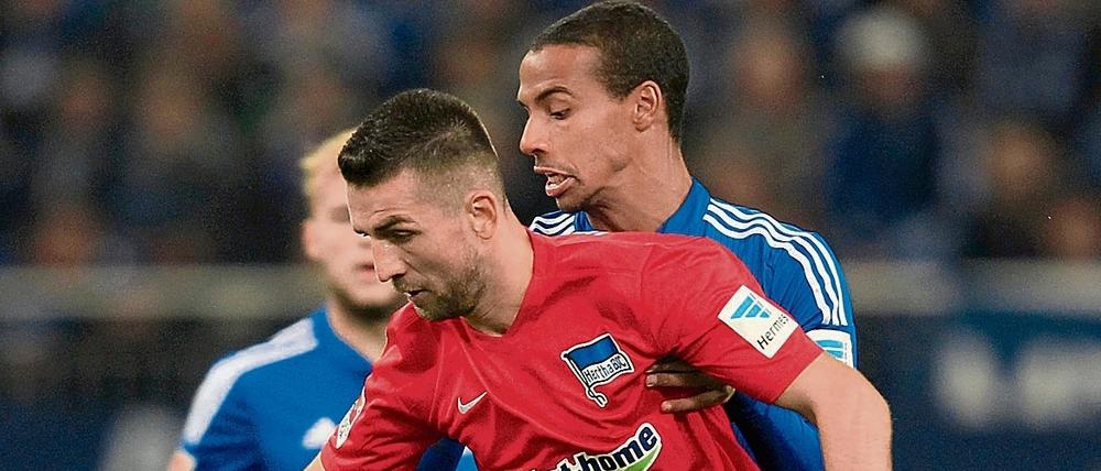 Vedad Ibisevic steht Hertha BSC wieder zur Verfügung.