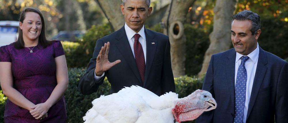 Du darfst weiterleben: Barack Obama begnadigt im Garten des Weißen Hauses einen Truthahn.