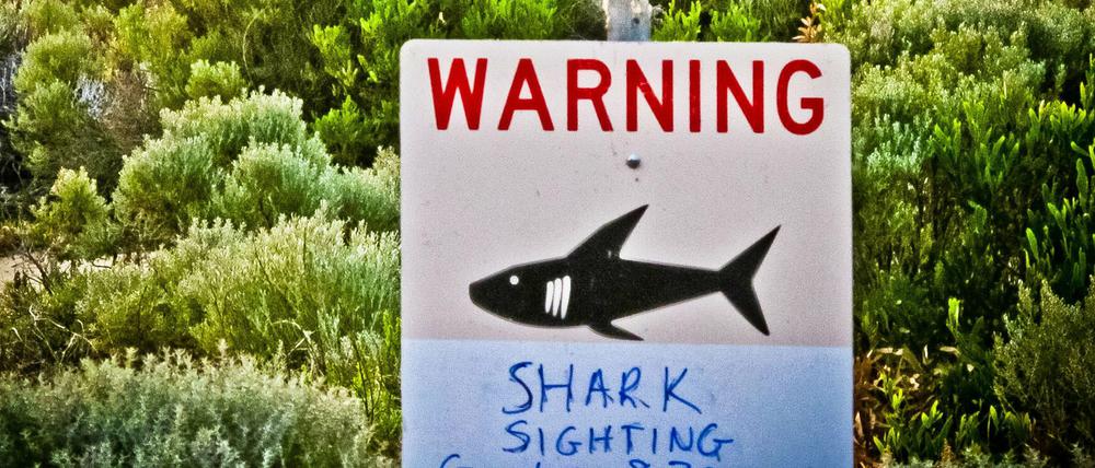 In Australien könnten bald Drohnen vor Haien warnen.