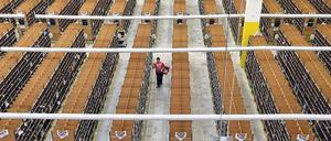 Allein auf schmaler Flur stellt ein sogenannter „Picker“ in Brieselang (Kreis Havelland) im Lager des Amazon-Logistikzentrums die Bestellungen zusammen. Foto: Bernd Settnik/dpa