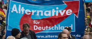 Anhänger der Alternative für Deutschland (AfD) während einer Demonstration der Partei am 7. November in Berlin.