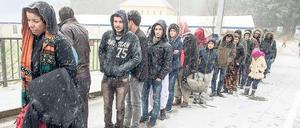 Warten im Schnee. Flüchtlinge am Wochenende an der deutsch-österreichischen Grenze. 