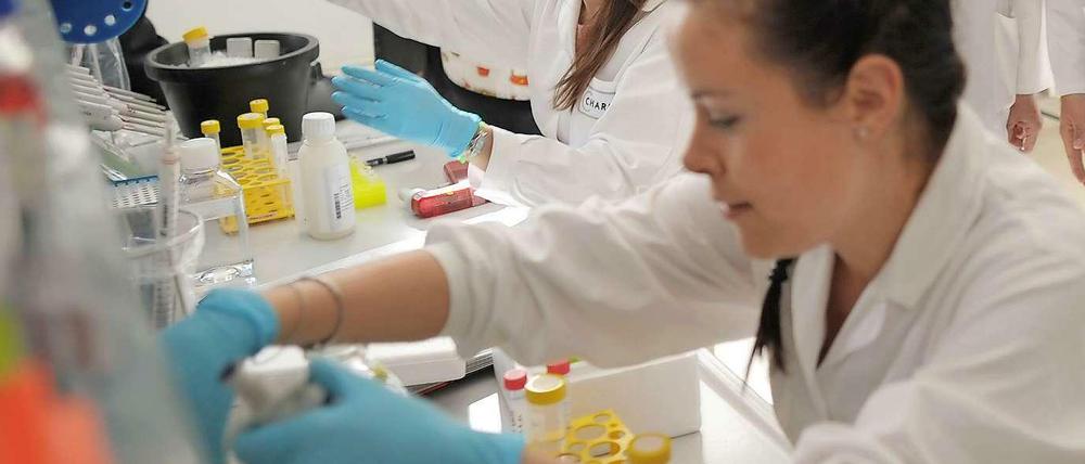 Experiment Fusion. Teile des MDC und der Charité werden zum Berliner Institut für Gesunheitsforschung (BIG) verschmolzen.
