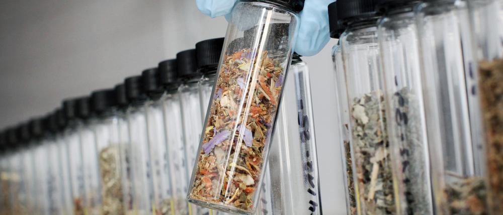 Sie sehen aus wie harmlose Kräutermischungen, sind aber als Droge hochgefährlich. Nun sollen so genannte "Legal Highs" verboten werden.