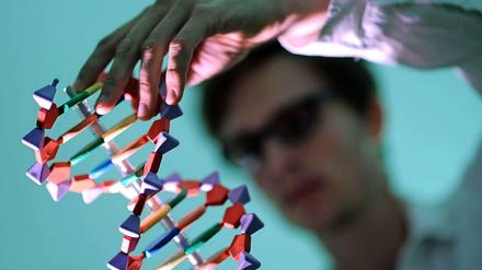 Hilfe im Labor. Bei der Kinderwunschbehandlung werden Ei- und Samenzelle im Labor miteinander verschmolzen. Bei dieser Gelegenheit könnte künftig auch ins Erbgut eingegriffen werden. 