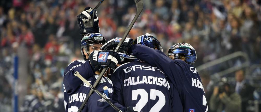 Spieler der Eisbären freuen sich über ein Tor, hier noch gegen Nürnberg.