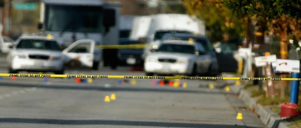 Zwölf Rohrbomben fanden die Ermittler im Haus der Täter von San Bernardino.