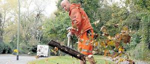 Die BSR kümmert sich künftig – zunächst testweise – auch um einige Parks.
