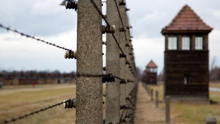 Ein früherer SS-Sanitäter aus dem KZ Auschwitz-Birkenau kommt wegen Beihilfe zum Mord vor Gericht. 
