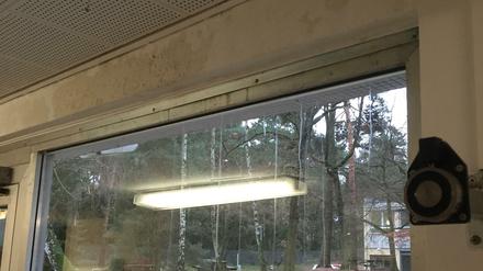 Wasserflecken sieht man überall in der Wilma-Rudolph-Schule in Dahlem.