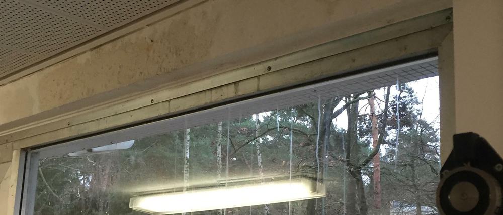 Wasserflecken sieht man überall in der Wilma-Rudolph-Schule in Dahlem.