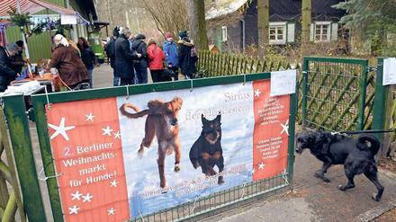Whow! Da kommt selbst der Hund trotz des milden Wetters in Adventslaune. Die Pforte zum Hunde-Christmarkt. 