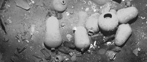 Sieht nicht wertvoll aus, ist es aber: Der Schatz aus der "San José" wird auf 3 bis 17 Milliarden US-Dollar geschätzt.