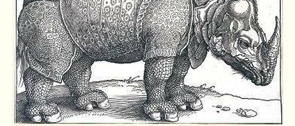 Ihre Vorliebe für Schwarz-weiß ist eine der Gemeinsamkeiten von Albrecht Dürer und William Kentridge.