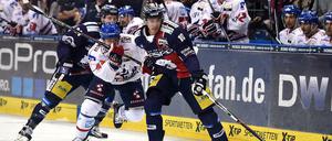 Auch Spencer Machacek (vorn) wird bei den Eisbären immer besser. Gegen Mannheim glänzte er als Torschütze und Vorbereiter.