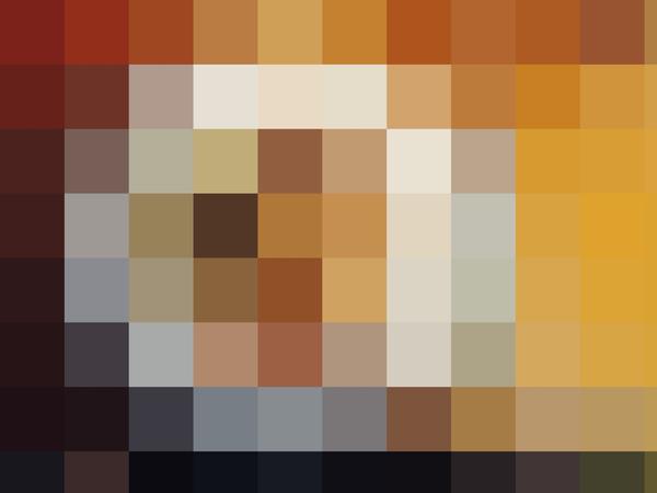 Gänsekeule gepixelt