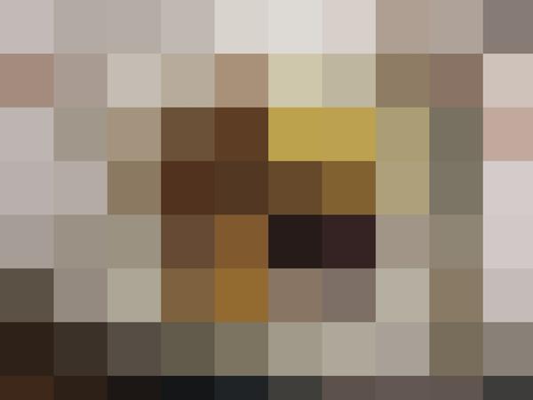 Raclette gepixelt