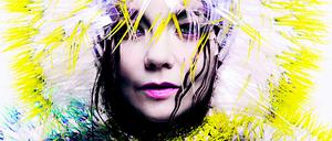 Die isländische Musikerin Björk.