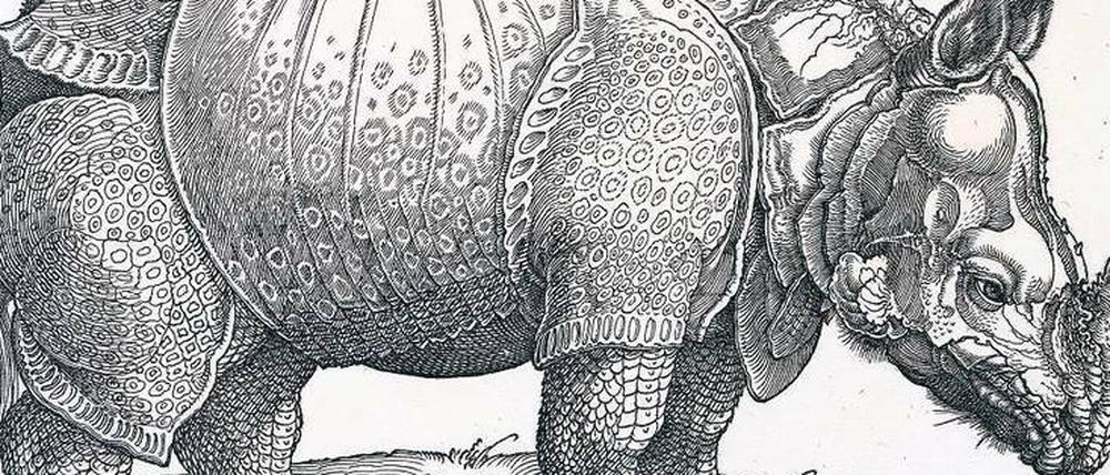 Dürer schuf seinen berühmten Rhinozeros-Holzschnitt 1515 nach einer brieflichen Beschreibung.